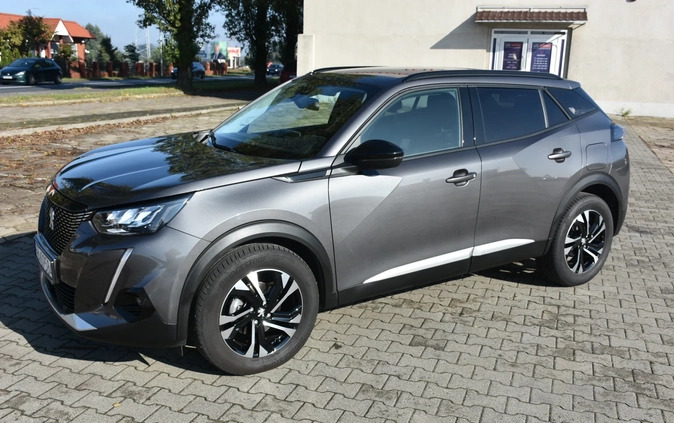 Peugeot 2008 cena 89000 przebieg: 11300, rok produkcji 2022 z Inowrocław małe 352